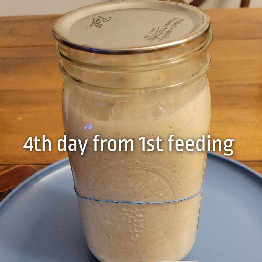 Fresh Sourdough Starter 100g Gift for Her Sourdough Starter Kit for Her Active Sourdough Starter