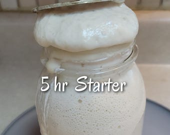 Fresh Starter & Tutorial