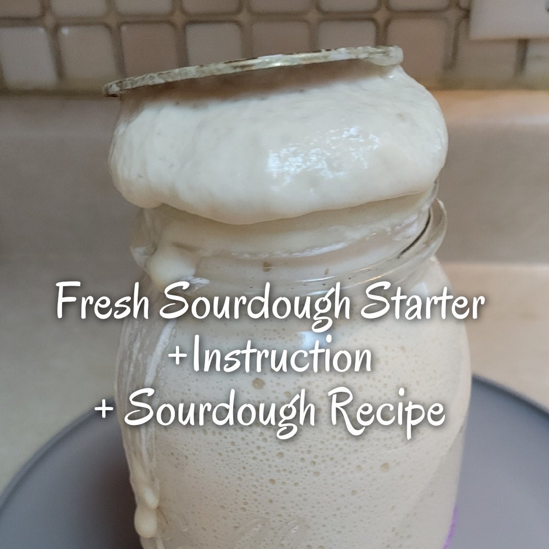 Fresh Sourdough Starter 100g Gift for Her Sourdough Starter Kit for Her Active Sourdough Starter