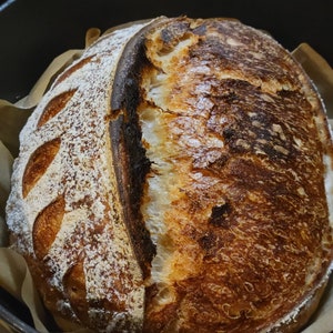 Light Whole Wheat Sourdough Bread