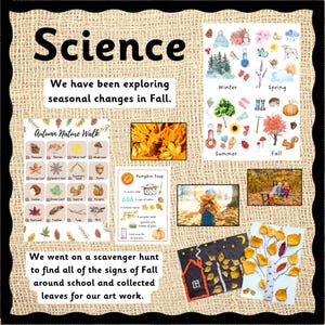 Autumn Nature Walk & Flashcards | Fall Scavenger Hunt | Children's Outdoor Activity | Nature Checklist | Outdoor Learning | DIGITAL DOWNLOAD image 7