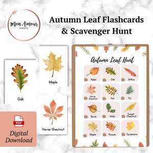 May include: Digital download of autumn-themed flashcards and a scavenger hunt. The flashcards feature watercolor illustrations of various leaf types, including oak, maple, and horse chestnut. The scavenger hunt includes a list of leaves to find.