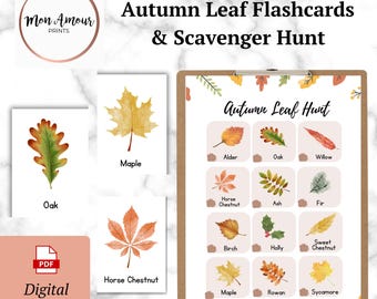 Autumn Leaf Scavenger Hunt | Forest School Activity | UK Trees | Outdoor Learning Flashcards | Science Lesson | Leaf ID | Digital Download