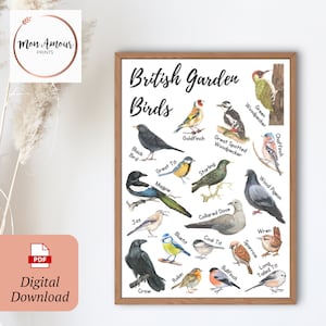 Druckbares Britisches Gartenvögel Poster und Karteikarten | UK Vogelidentifikation | Britische Wildtiere | Naturaktivität A4 | DIGITALER DOWNLOAD