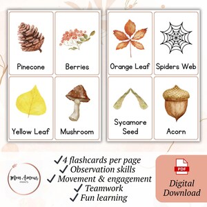 May include: Set of eight flashcards featuring watercolor illustrations of autumn elements like a pinecone, berries, orange leaf, spider web, yellow leaf, mushroom, sycamore seed, and acorn. Includes text: "4 flashcards per page, Observation skills, Movement & engagement, Teamwork, Fun learning."