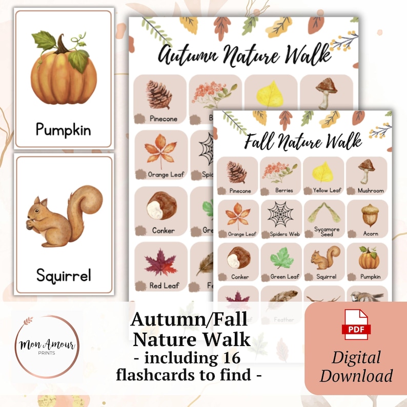 May include: A set of educational flashcards for an Autumn/Fall Nature Walk, featuring illustrations of a pumpkin, squirrel, pinecone, and other natural elements. The cards are designed for digital download.