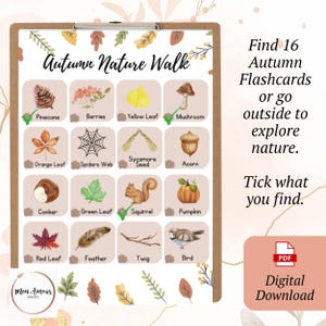 May include: A digital download autumn nature walk flashcard set. The illustrated flashcards include a pinecone, berries, yellow leaf, mushroom, orange leaf, spider web, sycamore seed, acorn, conker, green leaf, squirrel, pumpkin, red leaf, feather, twig, and bird.