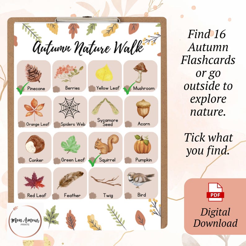 May include: A digital download autumn nature walk flashcard set. The illustrated flashcards include a pinecone, berries, yellow leaf, mushroom, orange leaf, spider web, sycamore seed, acorn, conker, green leaf, squirrel, pumpkin, red leaf, feather, twig, and bird.