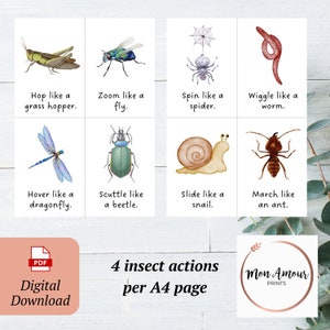 May include: Printable cards featuring illustrations of insects and their actions. The cards show a grasshopper hopping, a fly zooming, a spider spinning, a worm wiggling, a dragonfly hovering, a beetle scuttling, a snail sliding, and an ant marching. The text "4 insect actions per A4 page" is printed below the cards.
