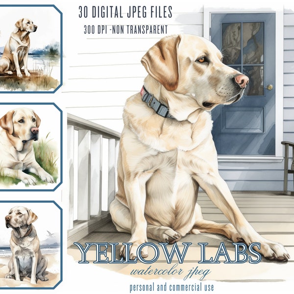 Yellow Labrador Retriever on the porch Digital Illustration Bundle, JPG Files for Commercial Use, Junk Journals, Sublimation POD Black Lab