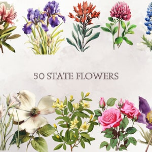 State Flowers Clipart PNG Wildflowers Clip Art Flowers Bundle, SVG Printable Junk Journal ...