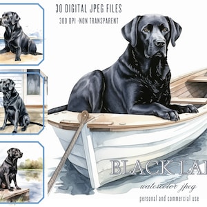 Black Labrador Retriever in a boat Digital Illustration Bundle, JPG Files for Commercial Use, Junk Journals, Sublimation POD Black Lab