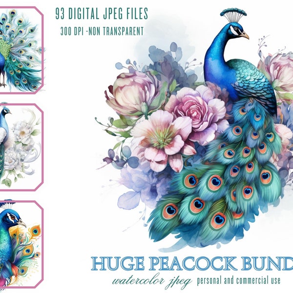 Watercolor Peacock Clipart Bundle Pack, 93 JPG Files clip art, Vintage Peacock Bird Feathers, Digital Download, Commercial Use