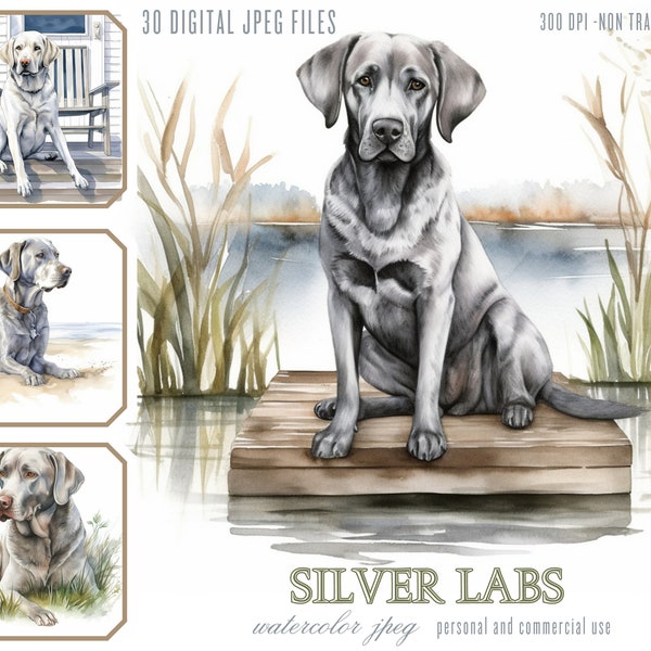 Silver Labrador Retriever on a Deck Illustration Bundle, JPG Files for Commercial Use, Junk Journals, Sublimation POD Silver Lab