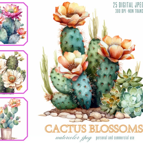 Cactus Blossoms Digital art Illustration Bundle, Cacti with flowers JPG Files for Commercial Use, Prints, Junk Journals, Sublimation Saguaro