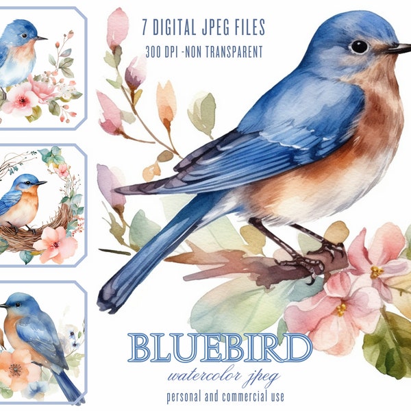 Watercolor BlueBird and flowers digital illustration JPG Files for Commercial Use, Junk Journals, Sublimation POD Blue Bird ClipArt