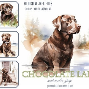 Chocolate Labrador Retriever am See Digitale Illustration Bundle, JPG-Dateien für kommerzielle Nutzung, Junk Journals, Sublimation POD Black Lab