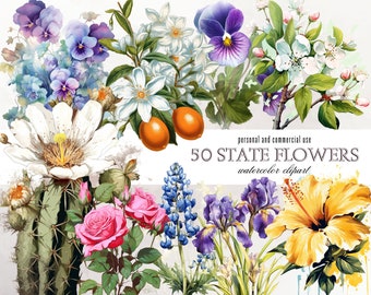 State Flowers Clipart, Wildflower PNG Bundle, Scrapbooking (Digital Download)