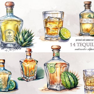Tequila Clipart Whiskey Clipart ,Glass and bottles Whiskey PNG, Watercolor Cocktail, Drinks Clipart Bundle alcohol clipart cocktail clipart