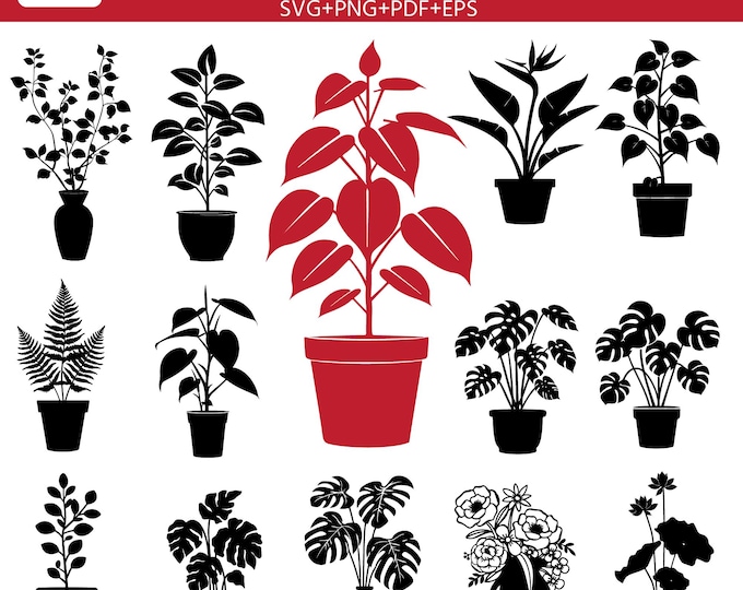 Potted Plant SVG Bundle, Botanical Plant SVG, Houseplant Silhouette, Indoor Plant PNG, Flower Pot Cut File, Garden Decor