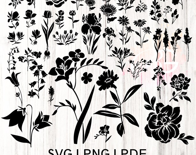 flowers silhoutte  svg, Floral svg, flower sketch svg, cricut, hand drawn flowers Silhouette , Easy Cut, Instant Download, wild flowers