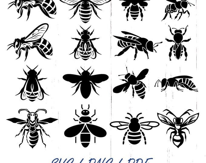 Honey Bee SVG Bundle, Beekeeper Clip Art, Queen Bee Designs (Digital Download)