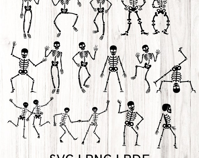 Dancing Skeleton SVG Bundle | Halloween Skeleton Cut Files | Fall and & Thanksgiving SVG PnG  PdF | Cricut and Silhouette Ready svg