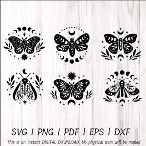 Himmlische Schmetterlings-Png, magische Käfer-Svg-Bundle, Luna Motte mystische Schmetterling Clipart, Beetal Png, himmlische Schmetterling Schnittdatei svg