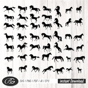 Pferd SVG Sofortiger Download schneiden Datei für Cricut und Silhouette, elegantes, hübsches Pferd, handgezeichnetes Pferd, Bauernhof, Pferdezeichnung