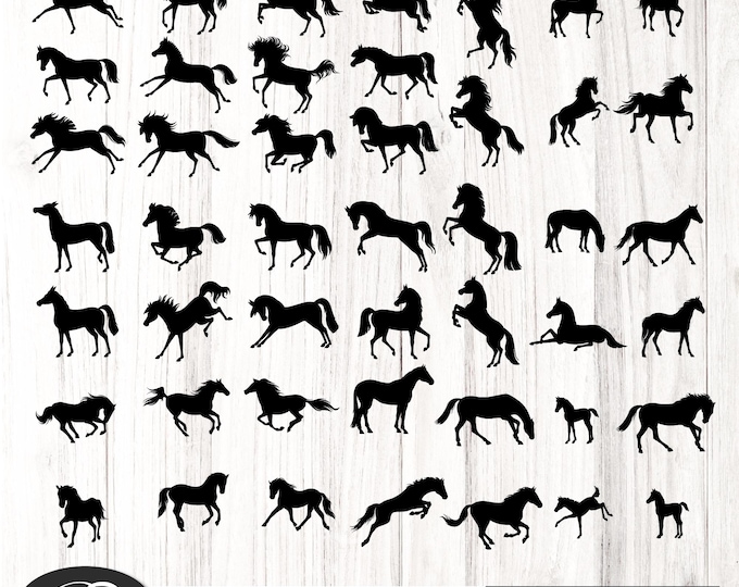 Horse  SVG Instant Download Cut File for Cricut and Silhouette, Elegant Pretty Horse Design, Hand Drawn Horse Svg, Farm, Horse Drawing