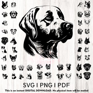 42 Dog  Silhouette Pack - MEGA BUNDLE |  Dog Breed SVG Digital Download | Dog Silhouette svg, Dog face dxf, Dog Silhouette png, dog cut file