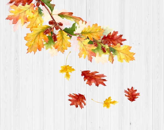 Falling Autumn Leaves Clipart | Oak Tree Branch | Watercolor Fall Digital Download | SVG PNG PDF jpeg