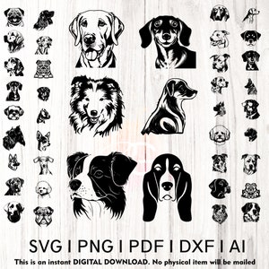 Hunde-Silhouette-Svg Bundle | Hund svg Hand gezeichnet | Hund Mama svg | Pelz Mama svg | pawsitive svg | Welpe svg | Hund Sprüche svg | Hunde-Svg-Dateien