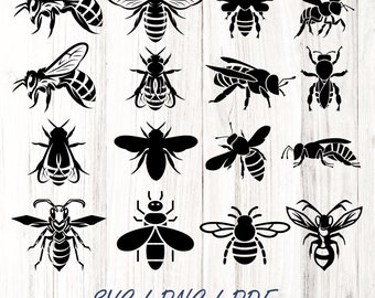 Bee SVG Bundle: Honey Bee, Bumble Bee, Crown, Digital Clipart, Honey Bee Cut Files, Bee Quotes in SVG & PNG