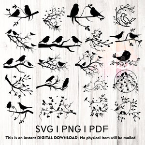 Pássaro SVG, Pássaro em galho SVG, Pacote de pássaros SVG, Pássaros em galho SVG, Galho png, Arquivo de corte de pássaros em um galho, Galho de árvore com pássaros SVG png