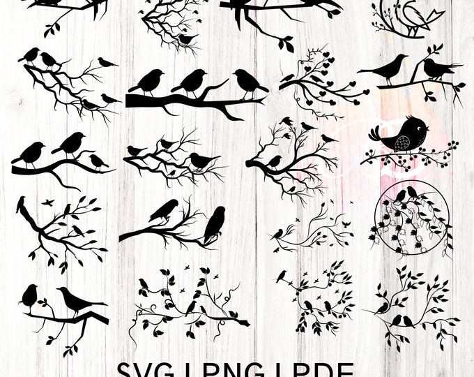 Bird SVG, Bird on branch SVG, Birds SVG bundle, Birds on branch svg, Branch png, Birds on a branch cut file, tree branch with birds svg png
