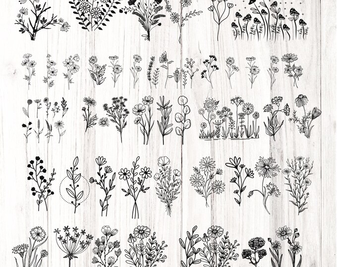 61 Hand Drawn Plants SVG, Flowers and Leaves PNG for Cricut Silhouette Files, Easy Cut, Instant Download