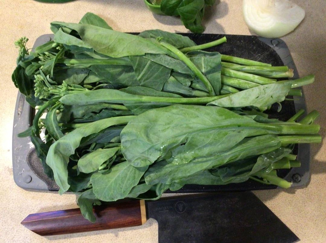 300 Seeds for Planting & Gardening Yod Fah Chinese Broccoli. Etsy