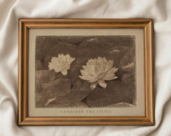 Consider the lilies Vintage Christian Art Print Matthew 6:25-26 (Digital Download)