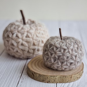 May include: Two crocheted apples, one beige and one brown, with a starburst pattern. The brown apple is sitting on a wooden slice.