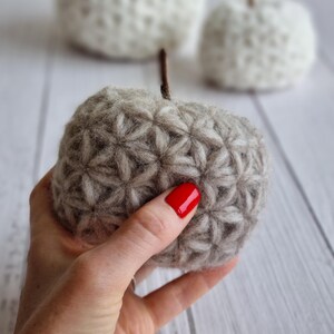 May include: A hand holds a brown and white felted pumpkin with a starburst pattern. The pumpkin is made of wool and has a soft, fuzzy texture.