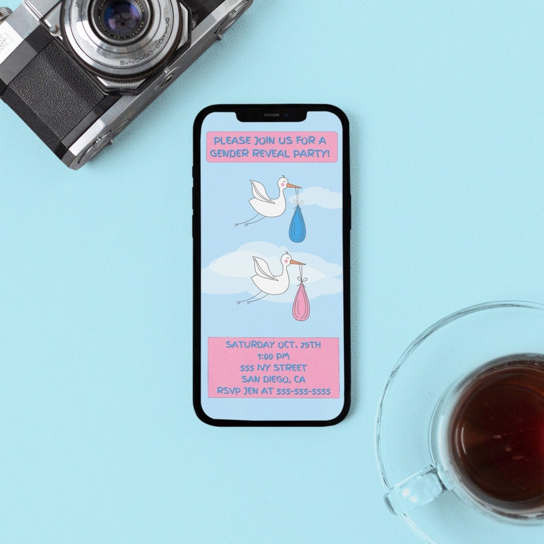 Gender Reveal Invitation, Evite Gender Reveal, Cute Gender Reveal