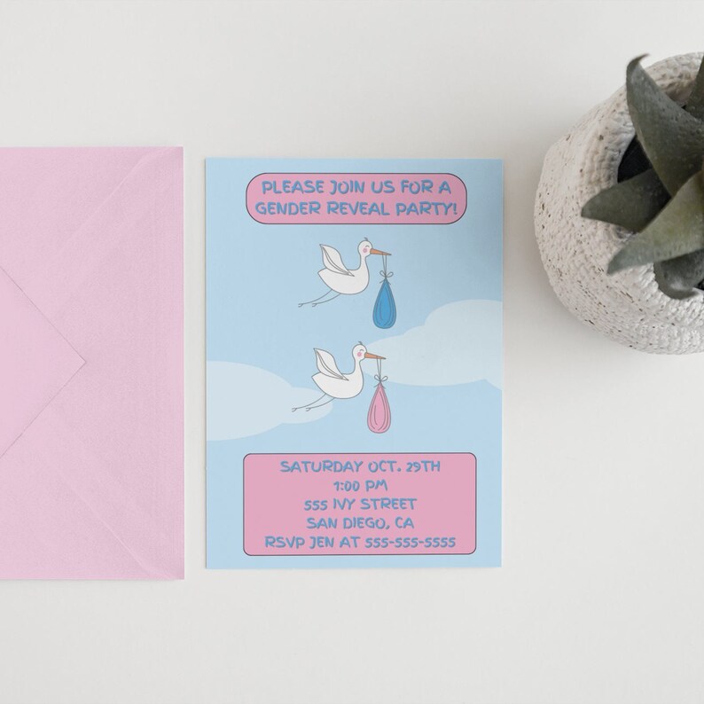 Gender Reveal Invitation, Evite Gender Reveal, Cute Gender Reveal