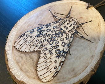 Leopard Moth woodburned ornament