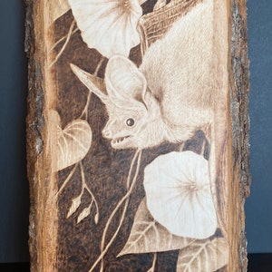 Op de afbeelding: Een gebrandschilderd beeld van een vleermuis met grote oren, hangend ondersteboven in een wijnstok met witte bloemen. De vleermuis kijkt de kijker aan met zijn mond open. De achtergrond is van donkerbruin hout.