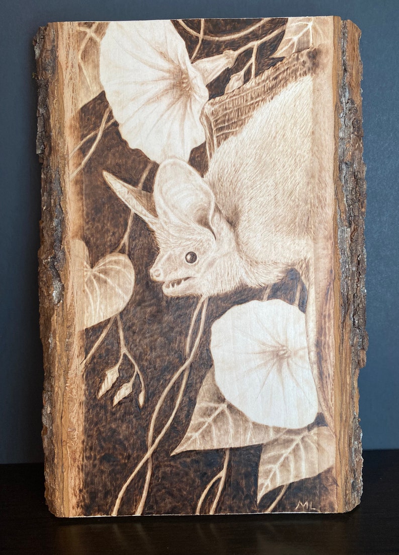 Op de afbeelding: Een gebrandschilderd beeld van een vleermuis met grote oren, hangend ondersteboven in een wijnstok met witte bloemen. De vleermuis kijkt de kijker aan met zijn mond open. De achtergrond is van donkerbruin hout.