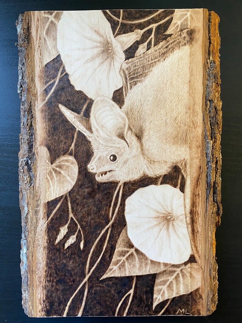 Op de afbeelding: Een gebrandschilderd beeld van een vleermuis met grote oren, hangend ondersteboven aan een wijnstok met witte bloemen. De achtergrond is donkerbruin hout.