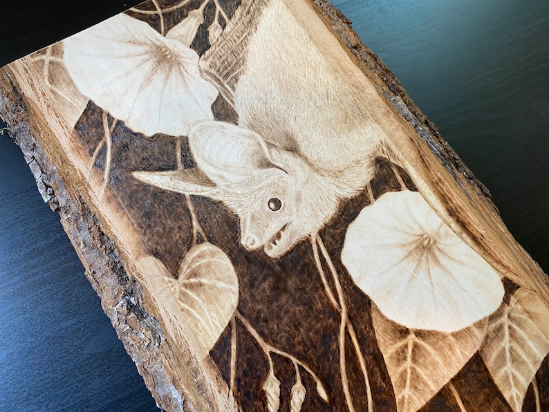 Op de afbeelding: Een gebrandschilderd beeld van een vleermuis met grote oren, die ondersteboven hangt aan een wijnstok met witte bloemen. De vleermuis is scherp, en de achtergrond is donkerbruin hout.