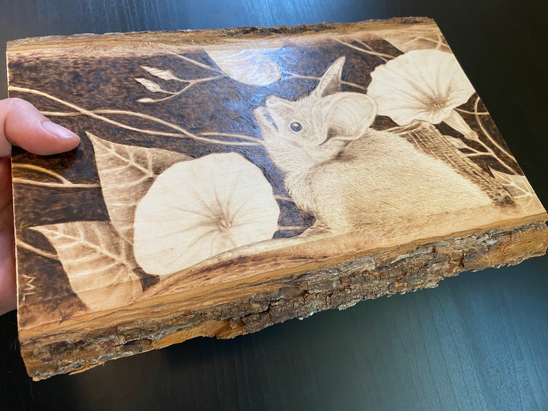 Op de afbeelding: Een gebrandschilderd beeld van een vleermuis met grote oren, die naar een maan kijkt, met een achtergrond van bladeren en bloemen.