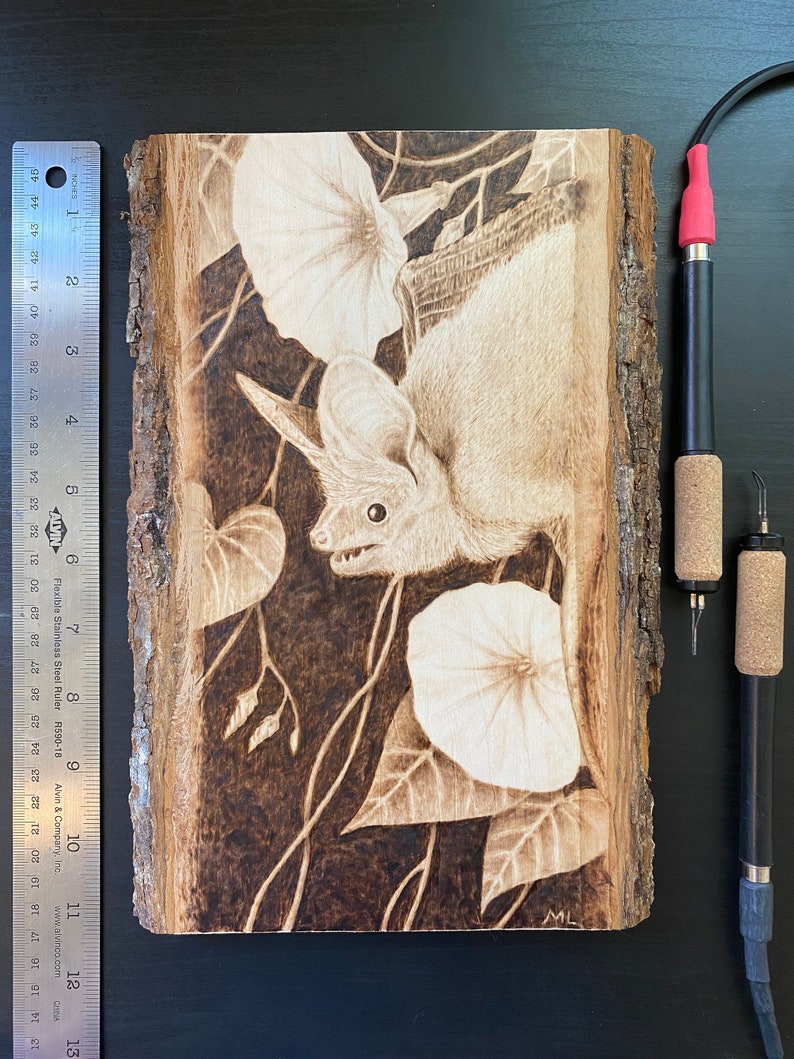 Op de afbeelding: Een gebrandschilderd beeld van een vleermuis met grote oren, hangend aan een wijnstok met witte windebloemen. Het beeld is op een stuk hout met een natuurlijke schorsrand. De initialen van de kunstenaar "ML" zijn rechtsonder getekend.